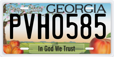 GA license plate PVH0585
