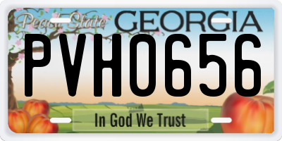GA license plate PVH0656