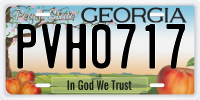 GA license plate PVH0717