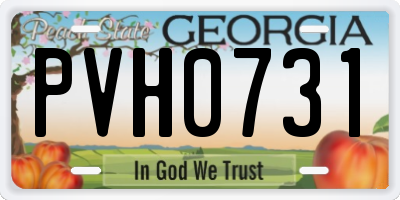 GA license plate PVH0731
