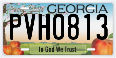 GA license plate PVH0813