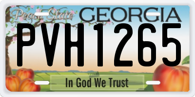 GA license plate PVH1265
