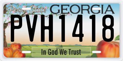 GA license plate PVH1418