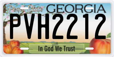 GA license plate PVH2212