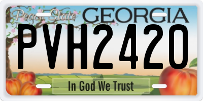GA license plate PVH2420