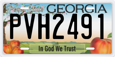 GA license plate PVH2491