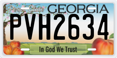 GA license plate PVH2634