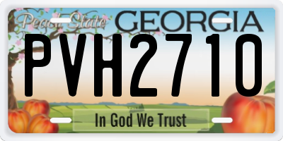 GA license plate PVH2710
