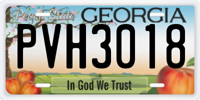 GA license plate PVH3018