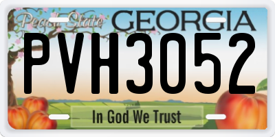 GA license plate PVH3052
