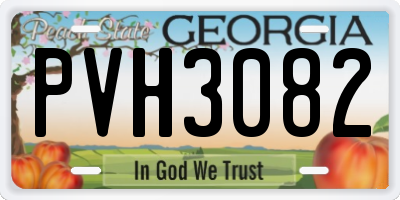 GA license plate PVH3082