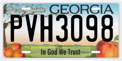 GA license plate PVH3098