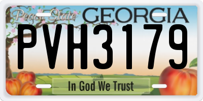 GA license plate PVH3179
