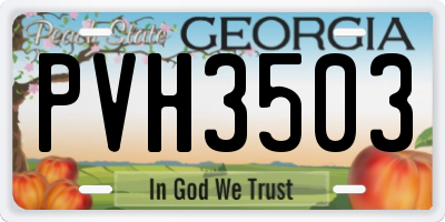GA license plate PVH3503