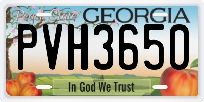 GA license plate PVH3650