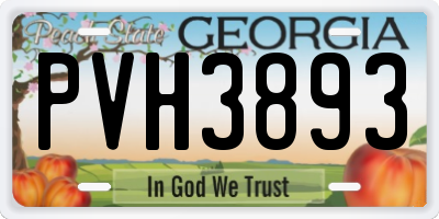 GA license plate PVH3893