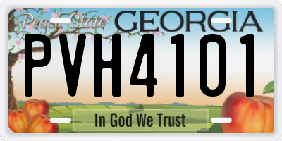 GA license plate PVH4101