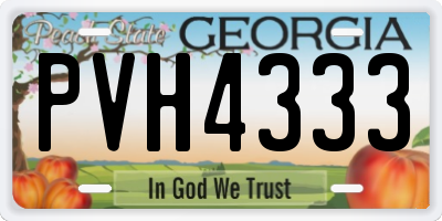 GA license plate PVH4333