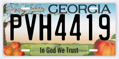 GA license plate PVH4419