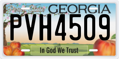 GA license plate PVH4509