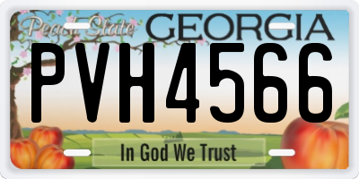GA license plate PVH4566