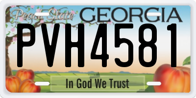 GA license plate PVH4581