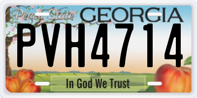 GA license plate PVH4714