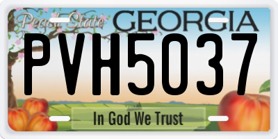 GA license plate PVH5037