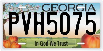 GA license plate PVH5075