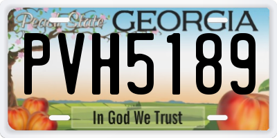 GA license plate PVH5189