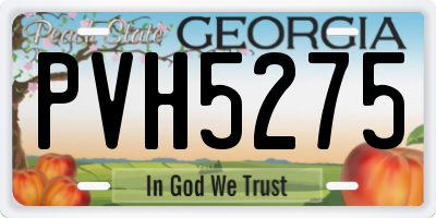 GA license plate PVH5275