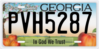 GA license plate PVH5287