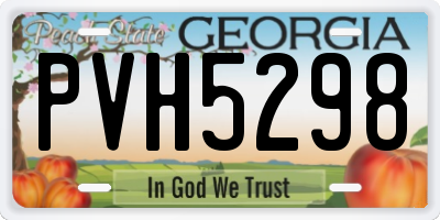 GA license plate PVH5298