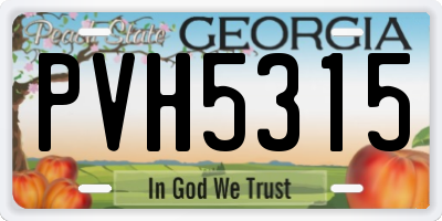 GA license plate PVH5315