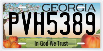 GA license plate PVH5389
