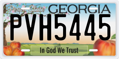 GA license plate PVH5445