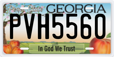 GA license plate PVH5560