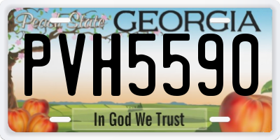 GA license plate PVH5590