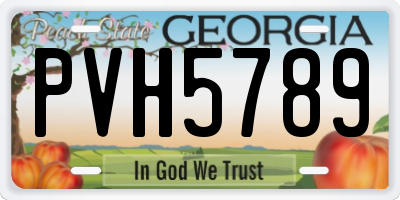 GA license plate PVH5789