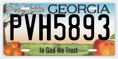 GA license plate PVH5893