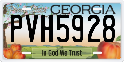 GA license plate PVH5928