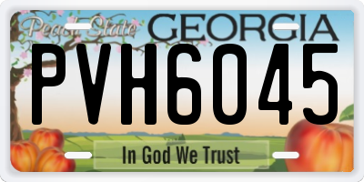GA license plate PVH6045