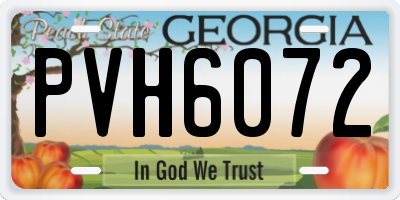 GA license plate PVH6072