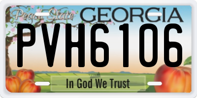 GA license plate PVH6106
