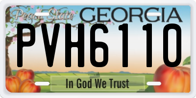GA license plate PVH6110