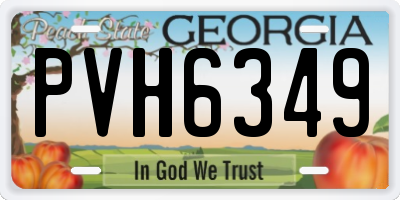 GA license plate PVH6349