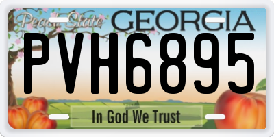 GA license plate PVH6895