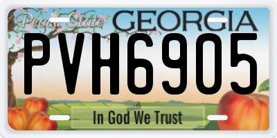 GA license plate PVH6905