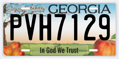 GA license plate PVH7129