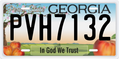 GA license plate PVH7132